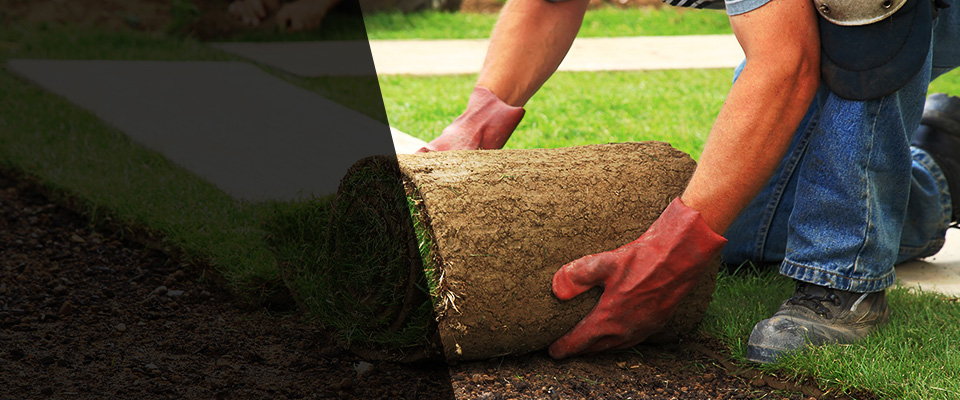 Germantown Landscapers